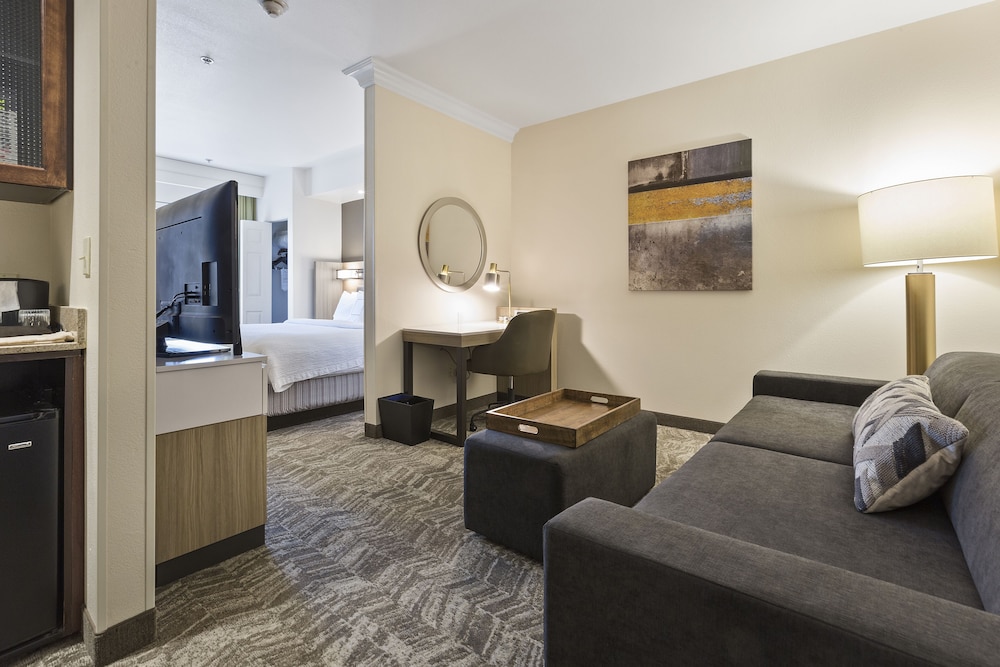 Suite, 1 King Bed - Photo 4