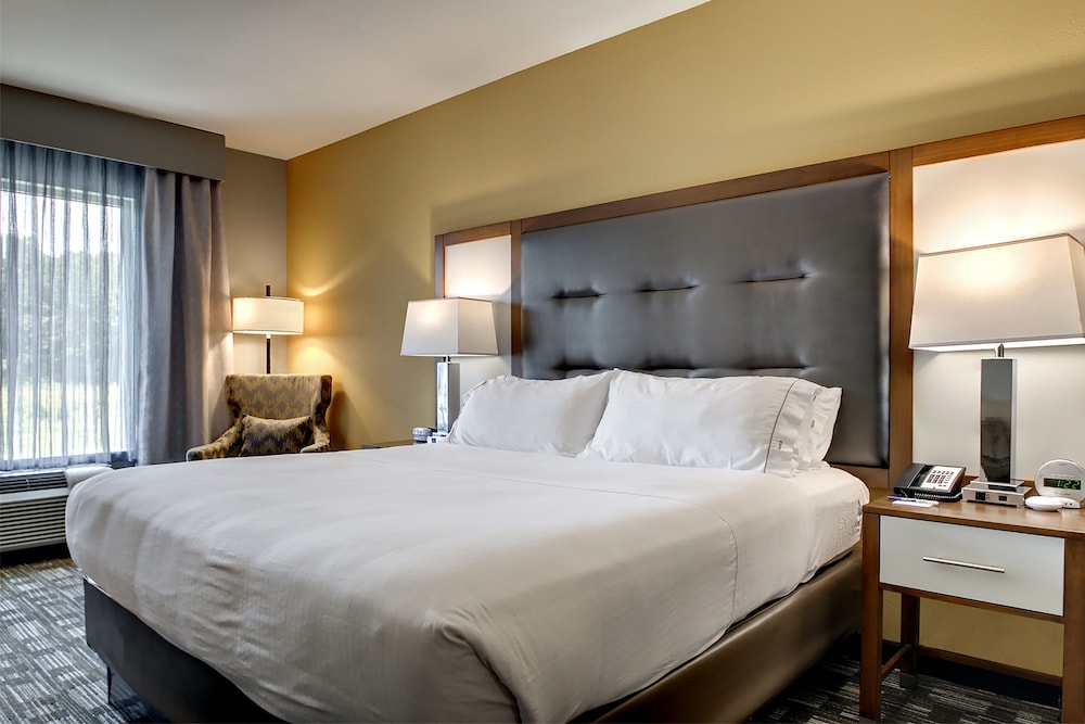 Executive Room, 1 King Bed, Non Smoking photo 1