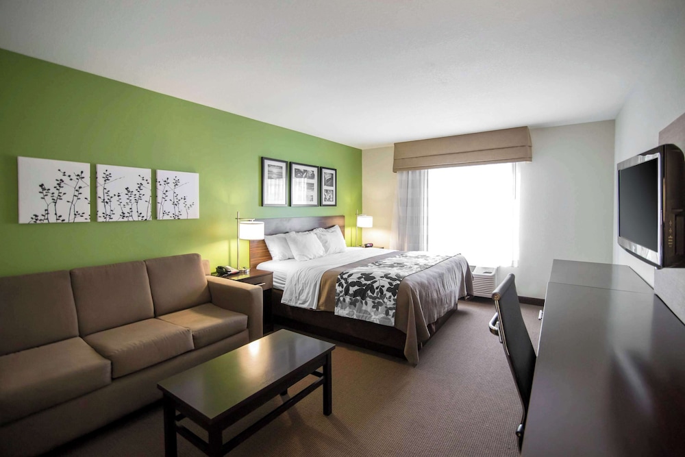 Suite, 1 King Bed, Accessible, Non Smoking - Photo 1