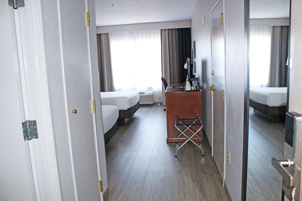Comfort Double or Twin Room, 2 Queen Beds photo 3
