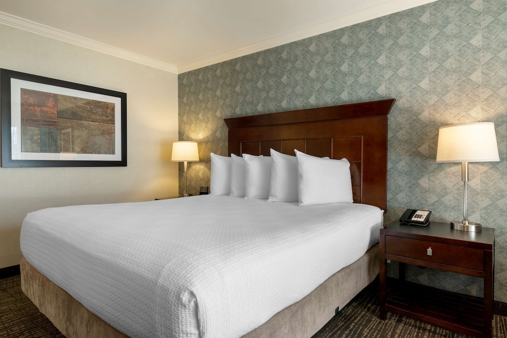 Standard Room, 1 King Bed, Accessible, Non Smoking - Photo 2
