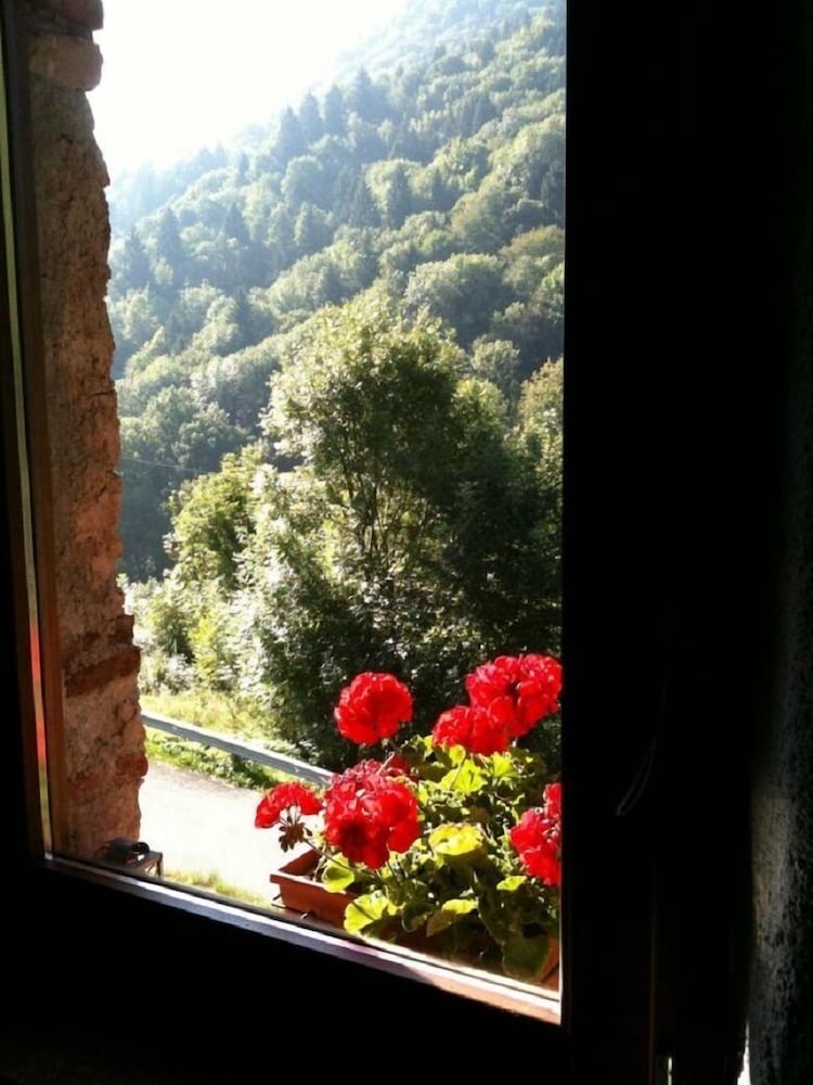 Twin Room, Pool View photo 2