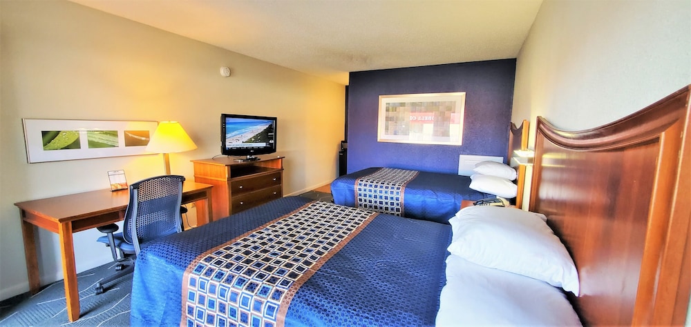 Studio Suite, 2 Double Beds, Kitchenette photo 1