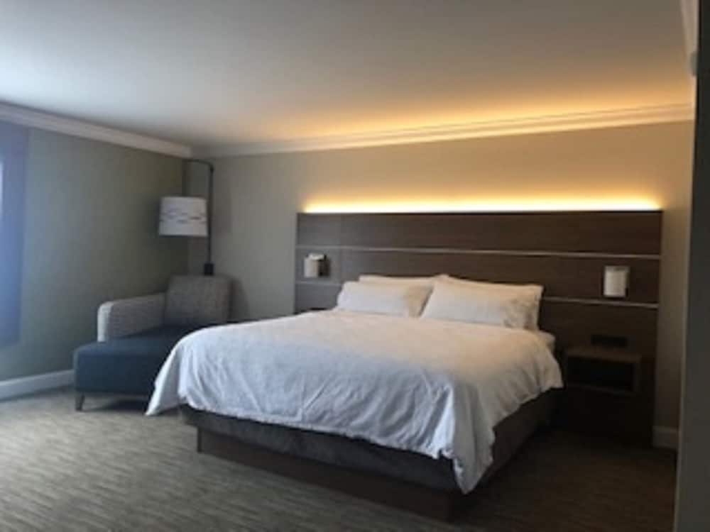 Suite, 1 King Bed photo 2