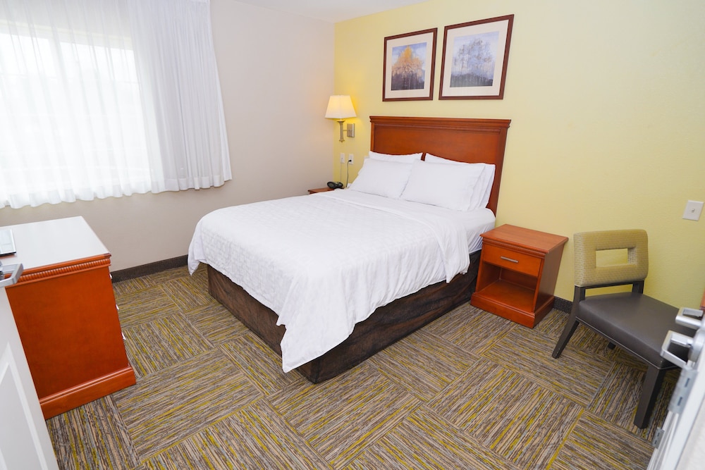 Suite, 1 Bedroom - Photo 1