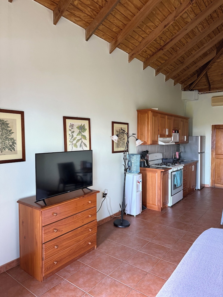 Deluxe Studio, Beach View photo 1