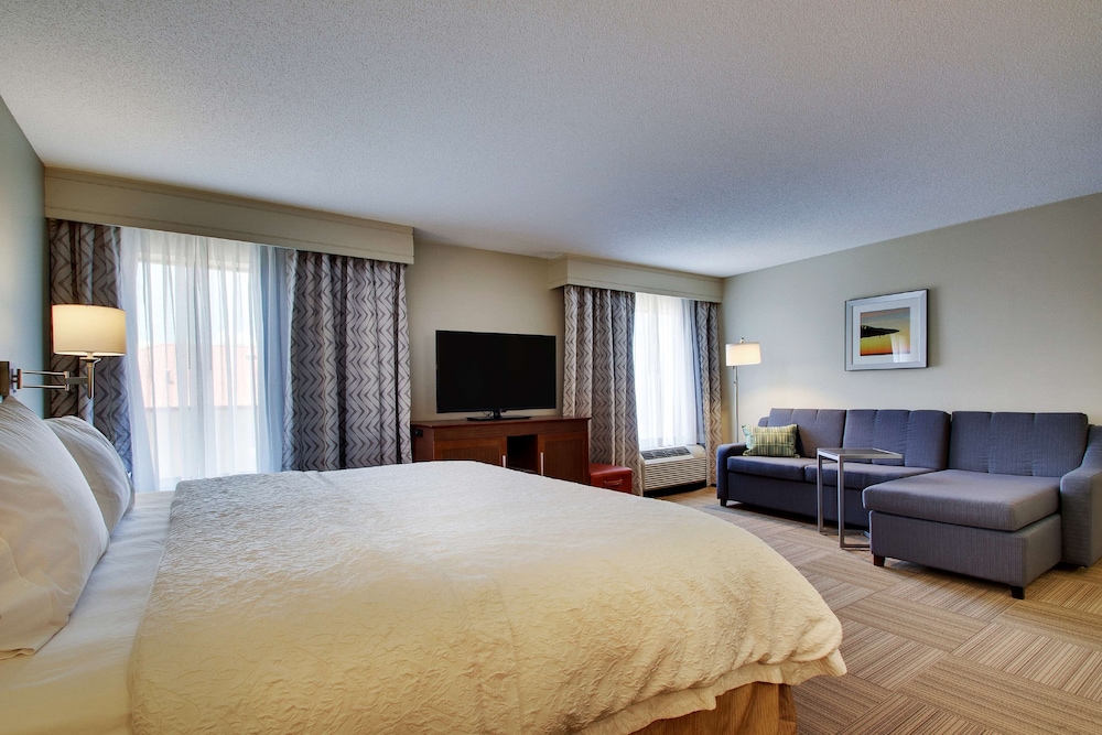 Suite, 1 King Bed, Non Smoking - Photo 4