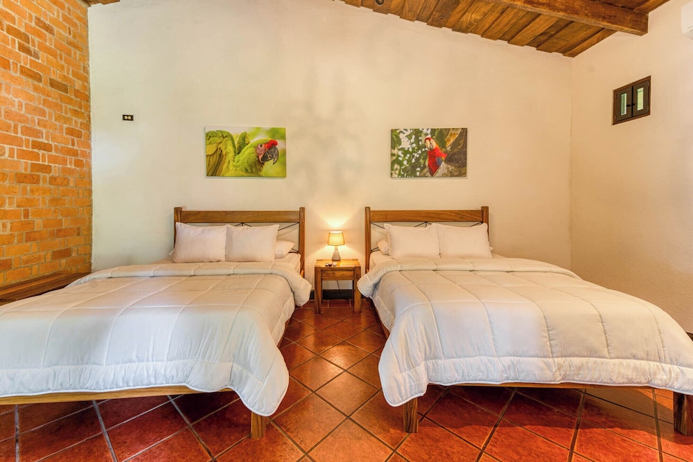 Superior Room, 2 Double Beds photo 3