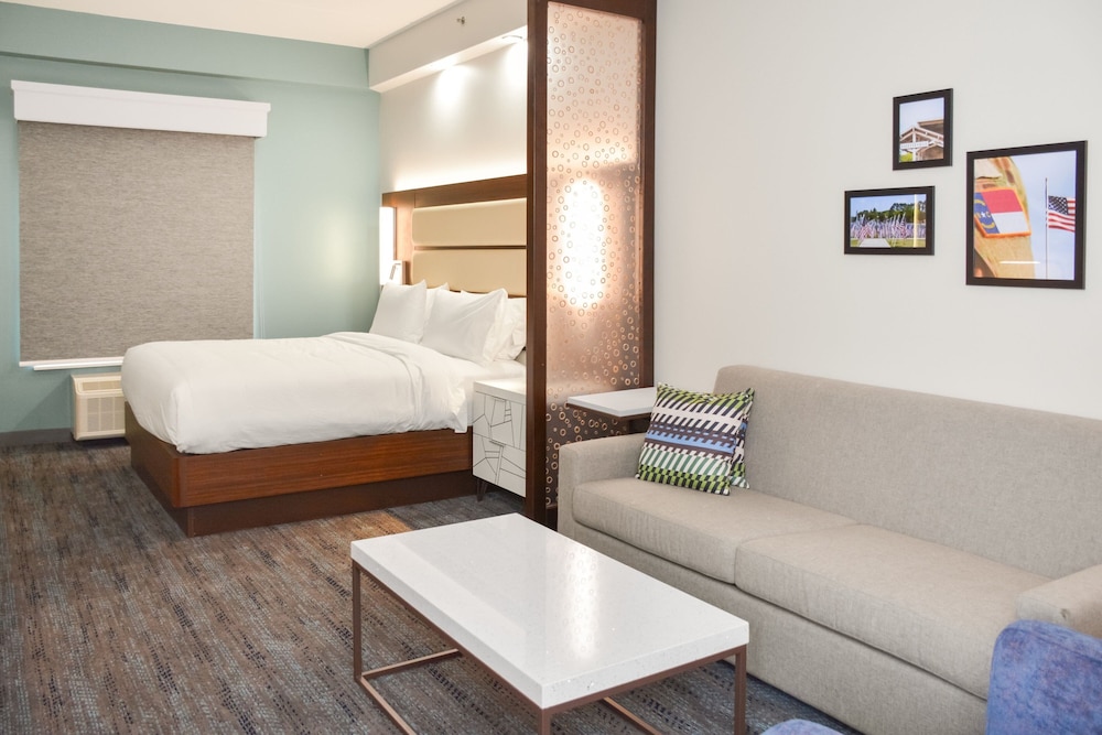 Suite, 1 Bedroom photo 2