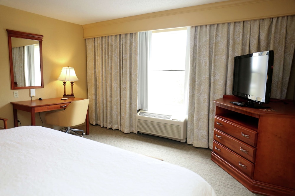 Room, 1 King Bed, Accessible photo 1