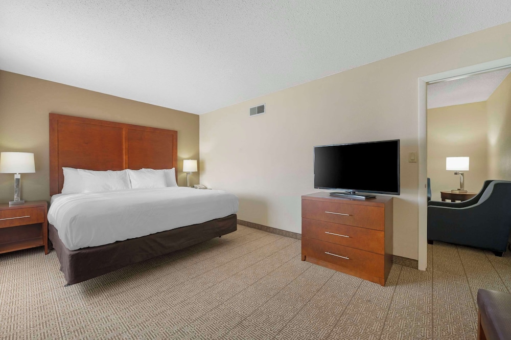 Suite, 1 King Bed with Sofa bed, Non Smoking photo 2