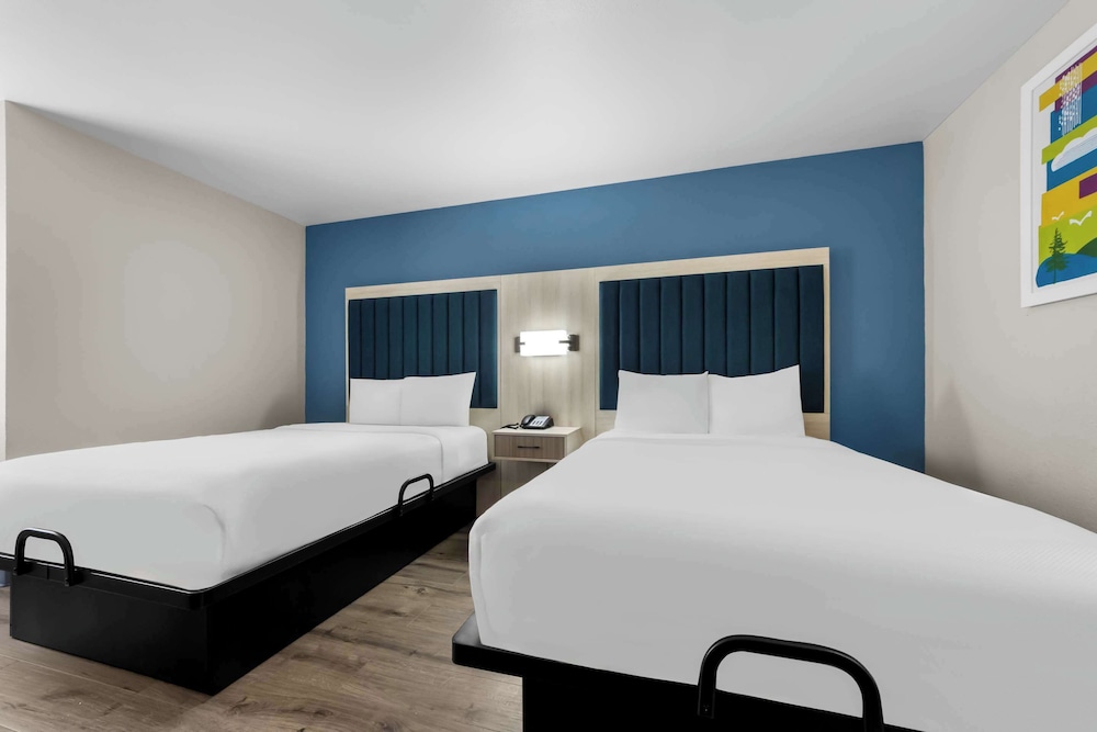 Standard Room, 2 Double Beds, Non Smoking (Dog-Friendly) - Photo 3