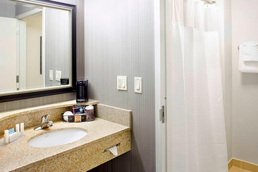 Suite, 1 King Bed with Sofa bed