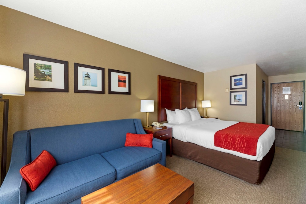 Standard Room, 1 King Bed with Sofa bed, Non Smoking photo 3