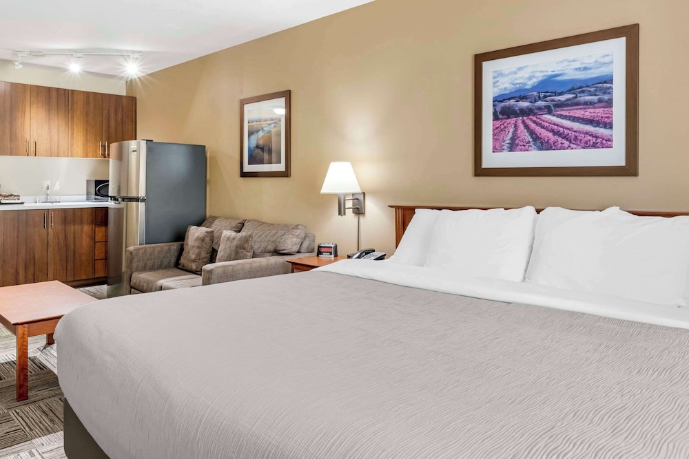 Room, 1 King Bed, Non Smoking - Photo 3