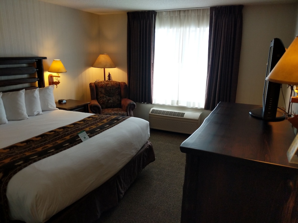 Standard Room, 1 King Bed, Accessible (Barrier free one King bed room) - Photo 1