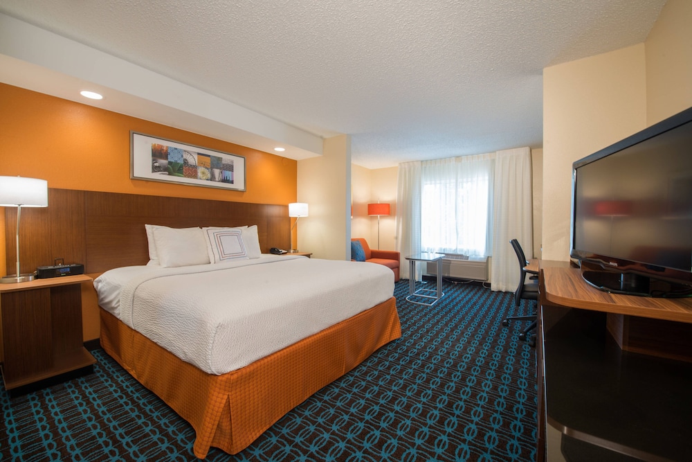 Suite, 1 King Bed with Sofa bed
