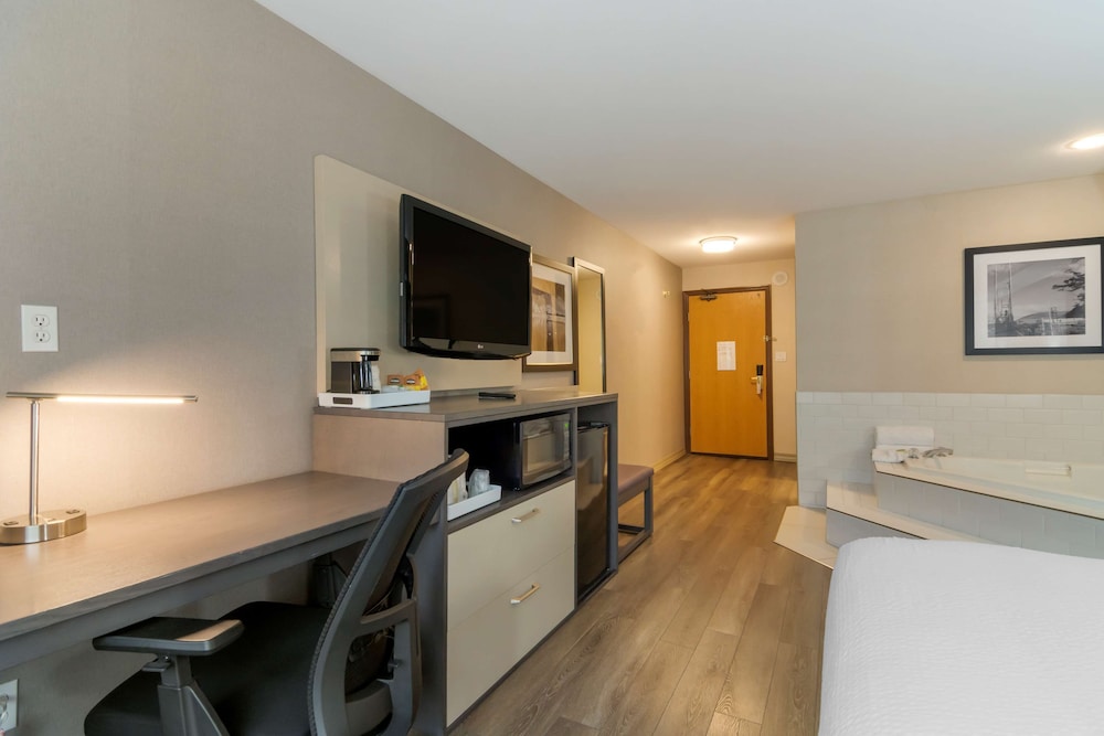 Standard Room, 1 King Bed, Non Smoking, Jetted Tub - Photo 1
