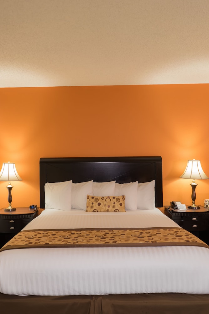 Executive Room, 1 King Bed, Non Smoking - Photo 10