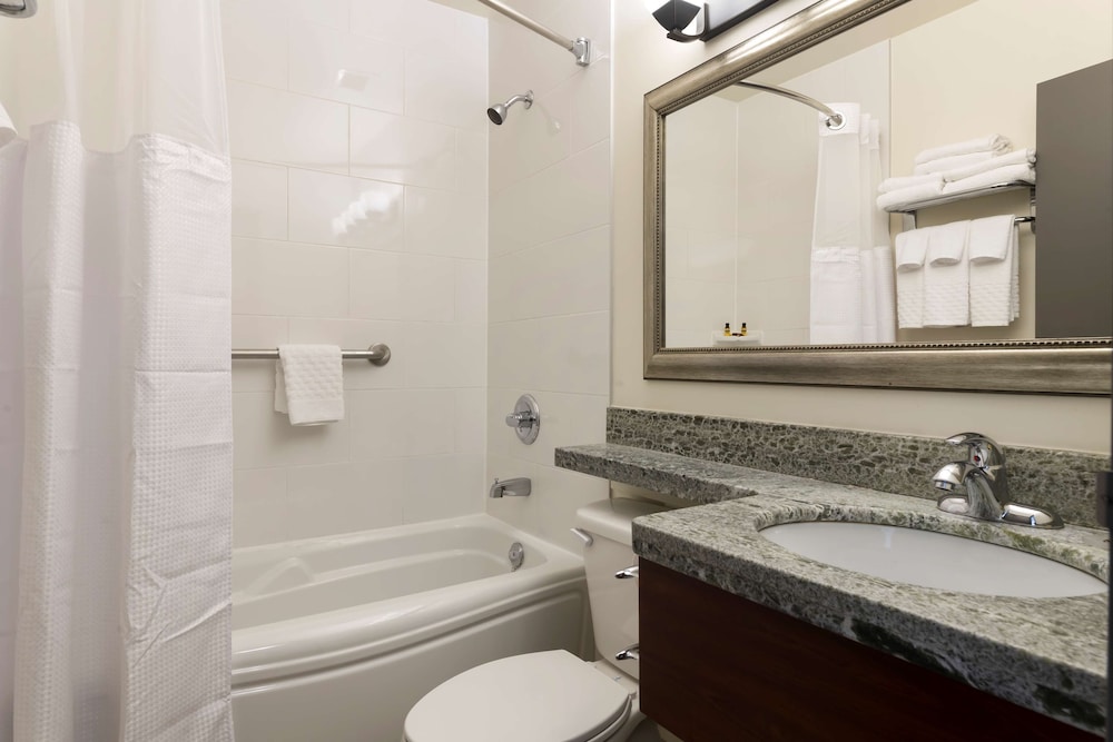 Standard Room, 1 King Bed, Refrigerator & Microwave, Lake View (Pet Friendly) - Photo 5