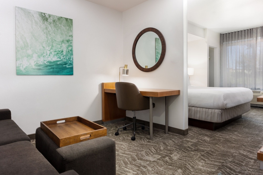 Suite, 1 King Bed with Sofa bed