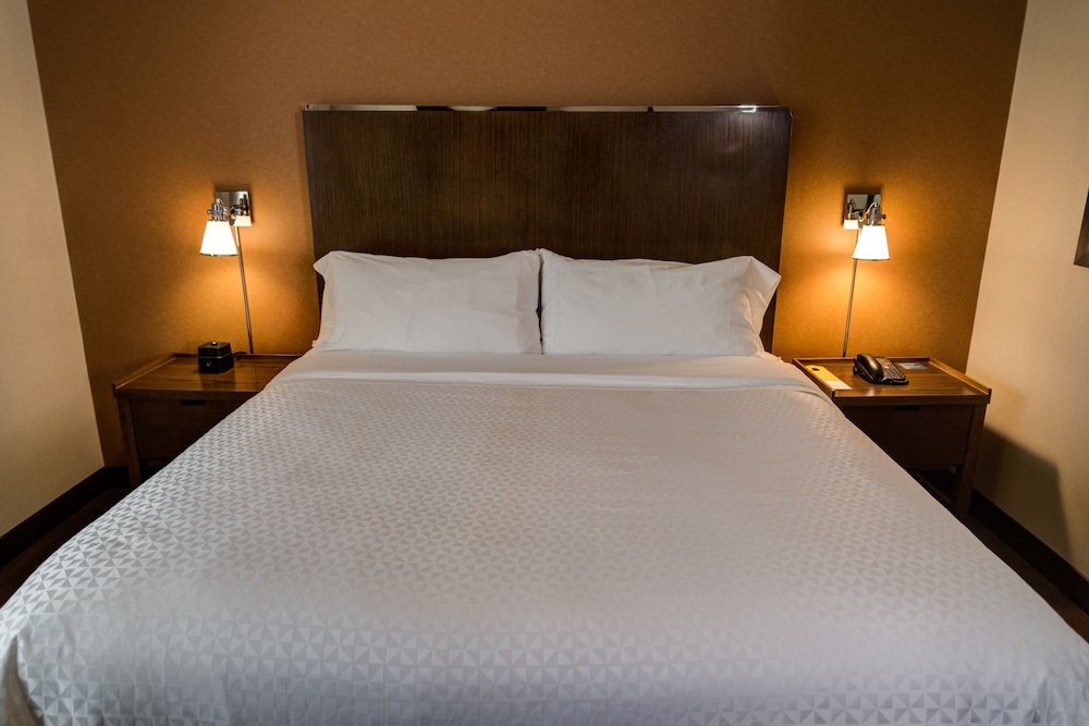 Executive Suite, 1 Bedroom photo 2
