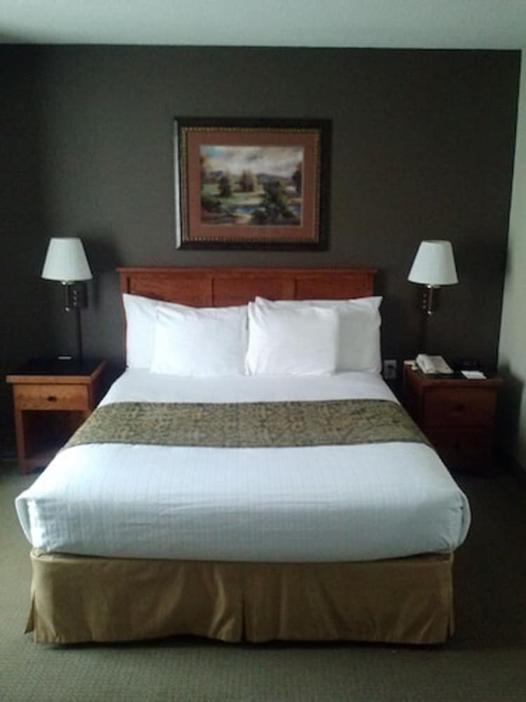 Studio, 1 Queen Bed, Accessible - Photo 2