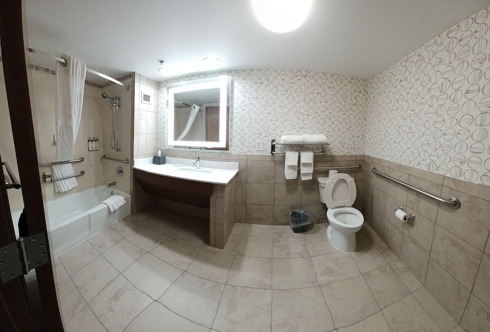 Suite, 1 King Bed, Accessible - Photo 4