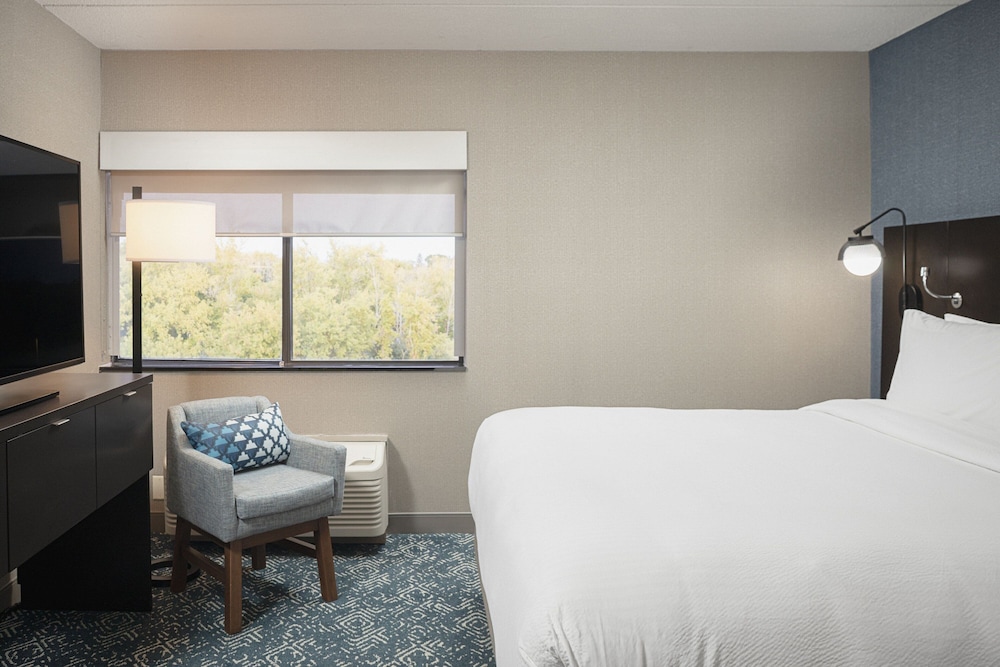 Suite, 1 Bedroom - Photo 2