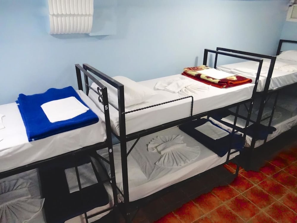 Basic Shared Dormitory, Mixed Dorm photo 2