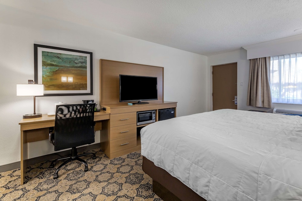 Standard Room, 1 King Bed, Non Smoking, Refrigerator & Microwave