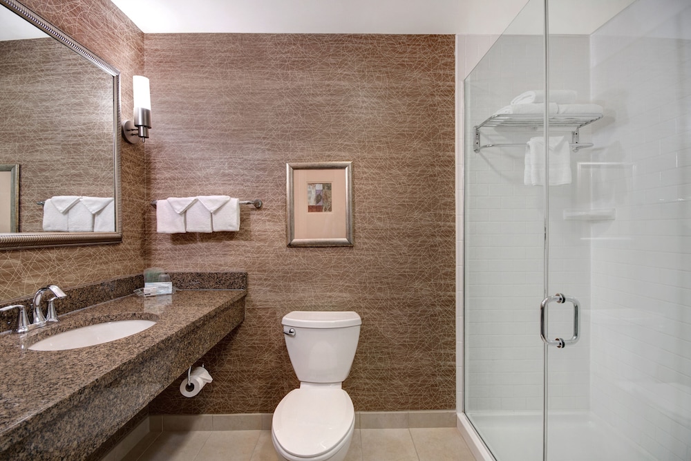 Standard Room, 1 King Bed, Accessible (Communication Accessible) - Photo 12