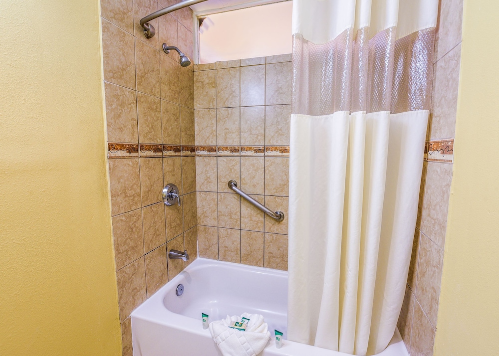Suite, 1 King Bed - Photo 4