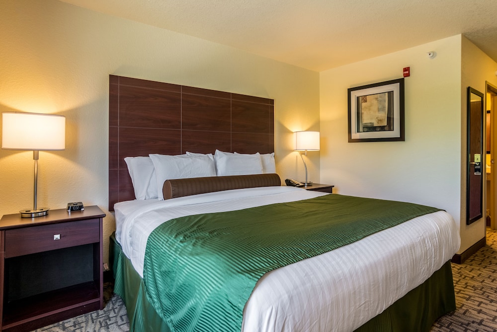 Room, 1 King Bed, Bay View photo 1