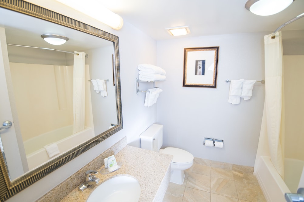 Room, 1 King Bed, Accessible, Non Smoking (Accessible Tub), photo 6
