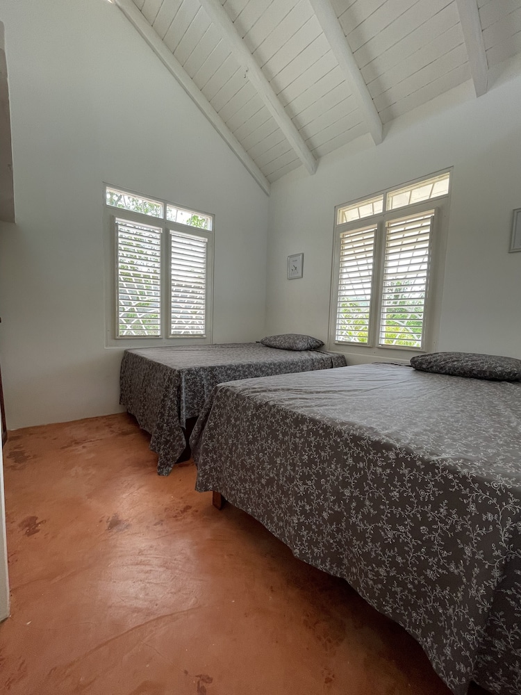 Classic House photo 2