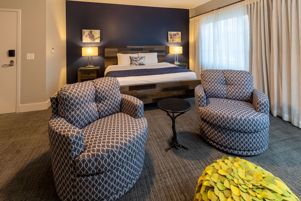 Executive Single Room, 1 King Bed