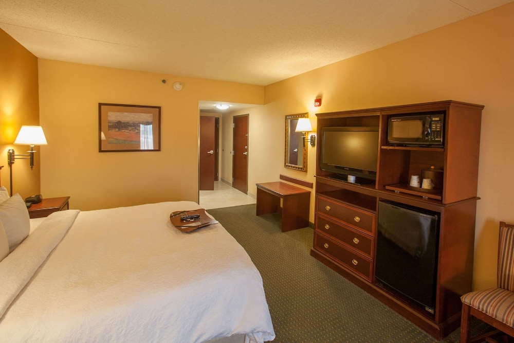 Room, 1 King Bed, Accessible, Non Smoking - Photo 2