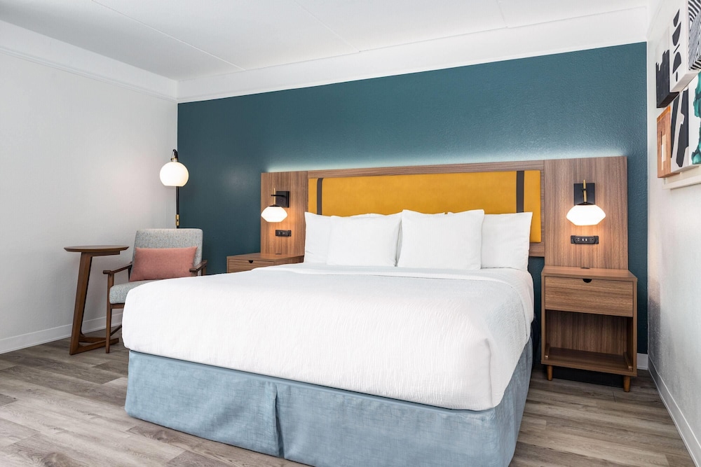 Room, 1 King Bed, Mobility Accessible, Non Smoking (Bathtub W/grab Bars) photo 3