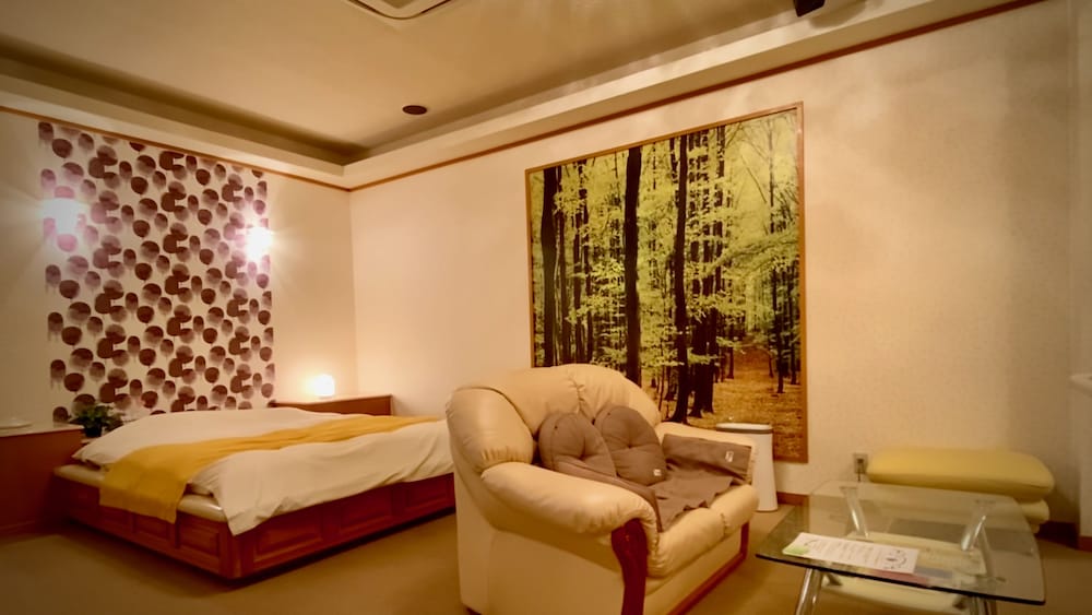 Deluxe Double Room E (includes air purifier) photo 2