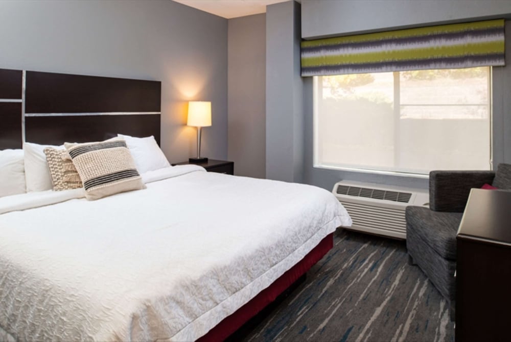 Room, 1 King Bed, Accessible, Bathtub - Photo 10