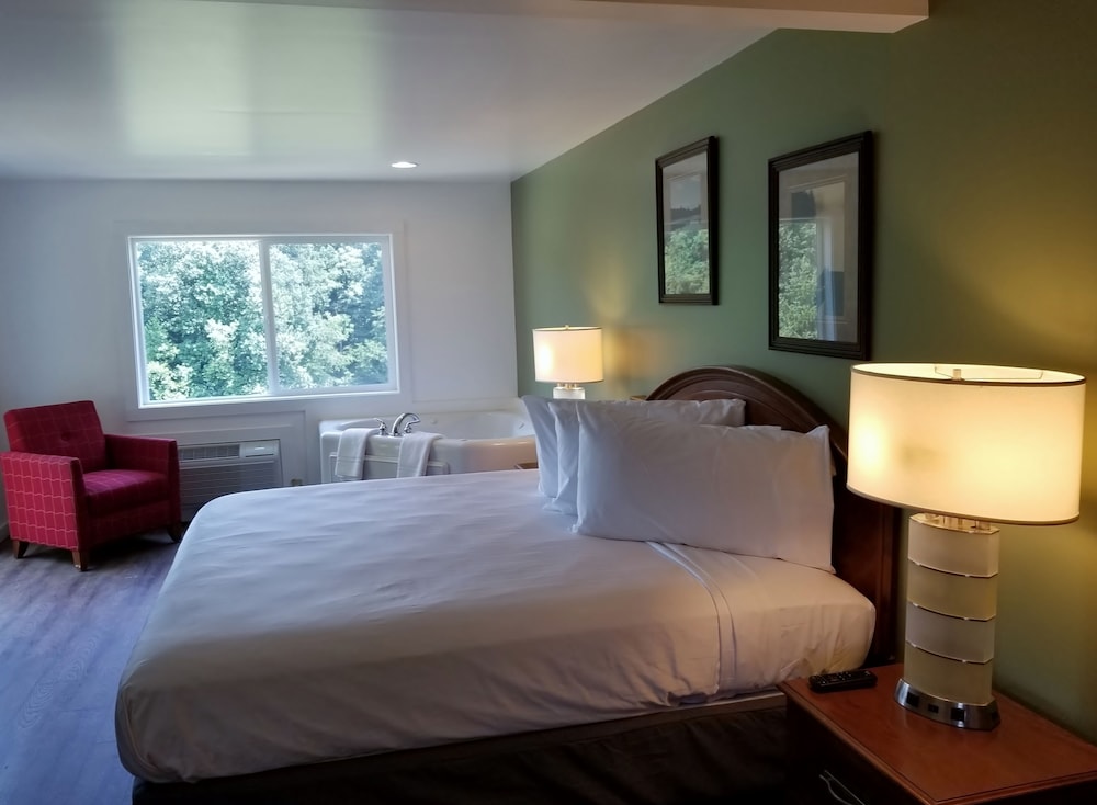 Premier Room, 1 King Bed, Jetted Tub, Lakeside photo 3