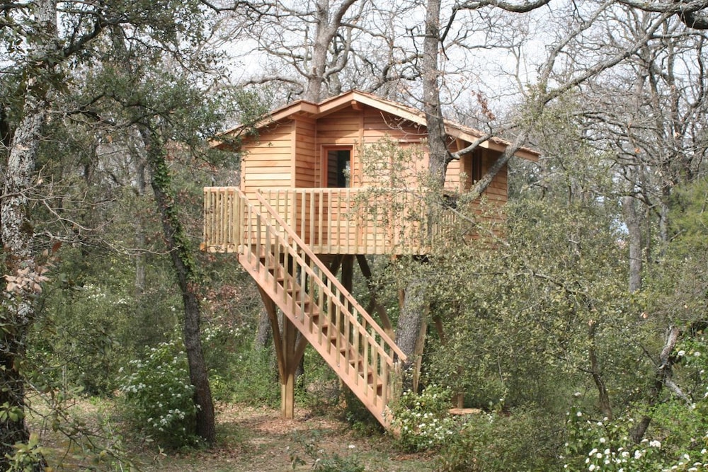 Tree House photo 1