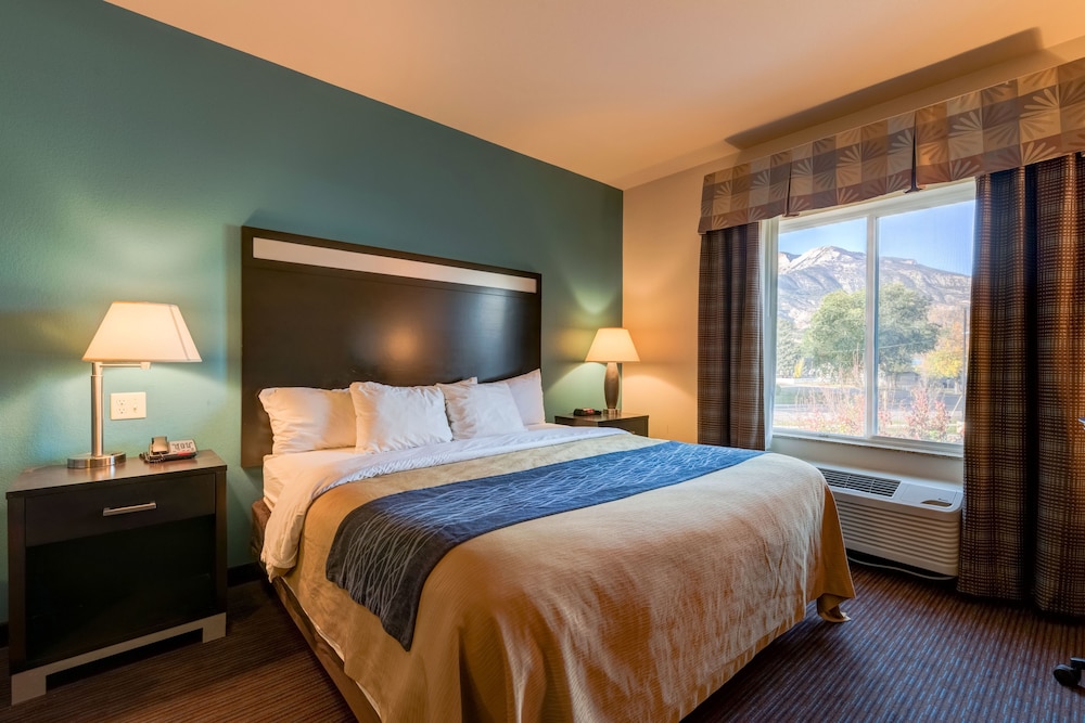 Standard Room, 1 King Bed, Non Smoking