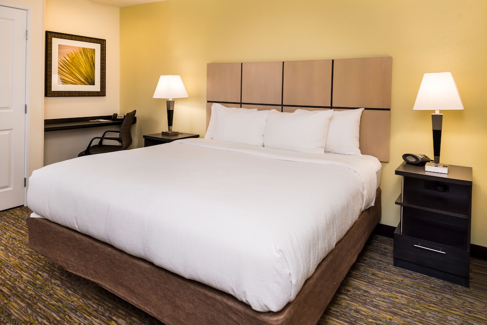 Suite, 1 Bedroom