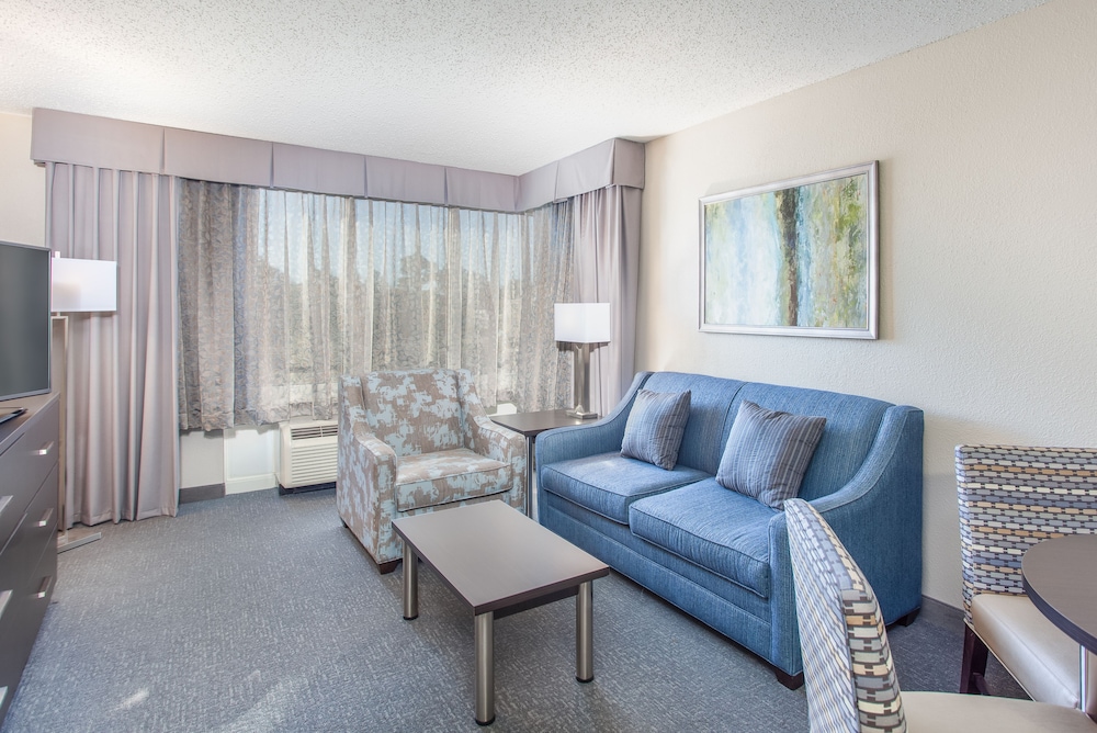 Suite, 1 Bedroom (Living Area) - Photo 3