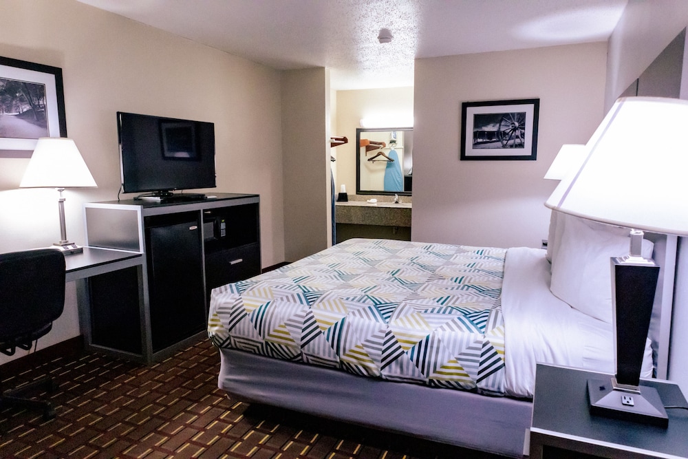 Standard Room, 1 King Bed, Non Smoking, Refrigerator & Microwave photo 2