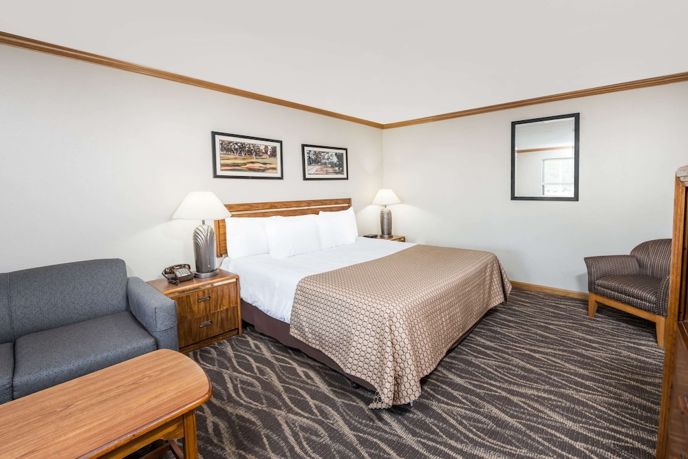Room, 1 King Bed