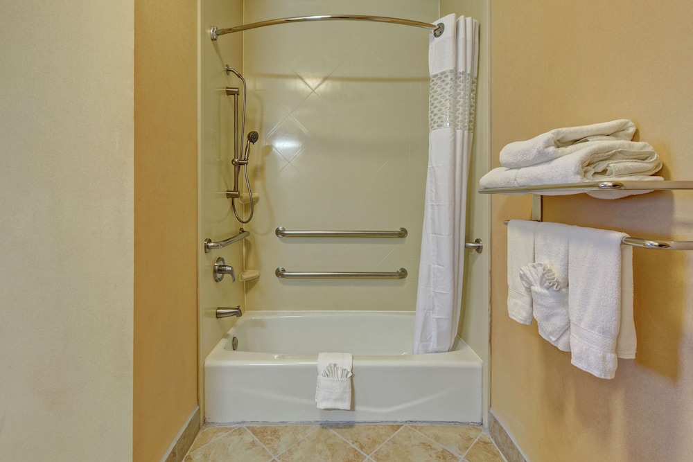 Room, 1 King Bed, Accessible - Photo 4
