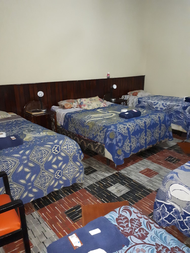 Comfort Apartment photo 1